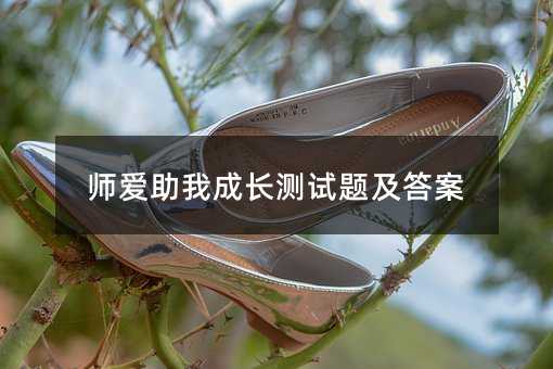 ʦ�����ҳɳ������⼰��