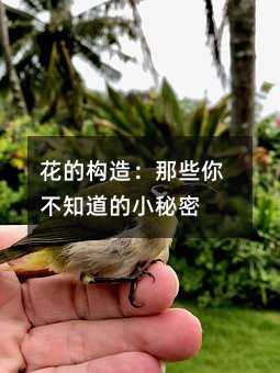 花的构造:那些你不知道的小秘密