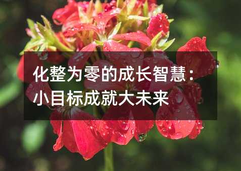 ����Ϊ��ĳɳ��ǻۣ�СĿ��ɾʹ�δ��