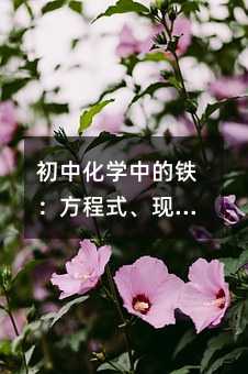 ���л�ѧ�е���������ʽ����������������