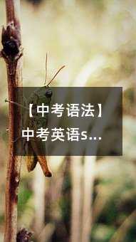 п﷨пӢsomeany÷++