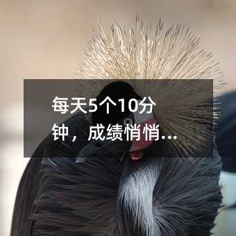 每天5个10分钟,成绩悄悄逆袭!