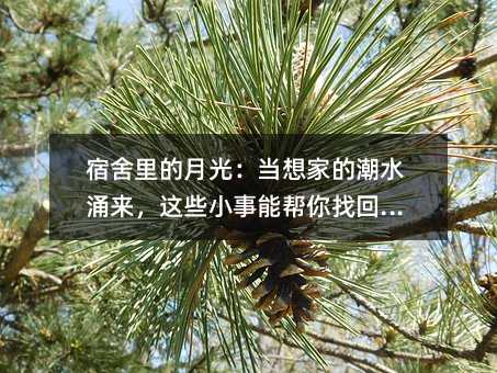 ¹⣺ҵĳˮӿЩСܰһů