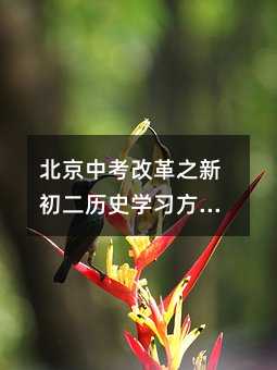 北京中考改革之新初二历史学习方法指导