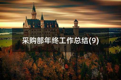 采购部年终工作总结(9)