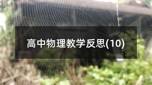 高中物理教学反思(10)