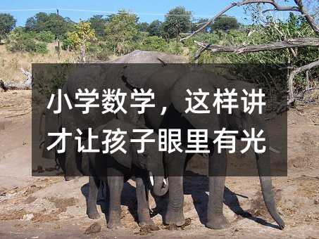 小学数学,这样讲才让孩子眼里有光