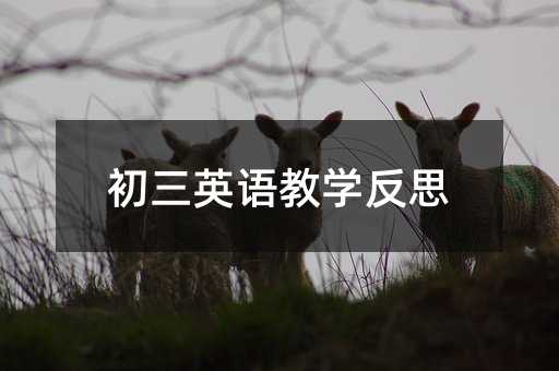 初三英语教学反思