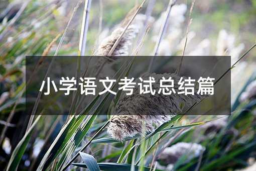 小学语文考试总结篇
