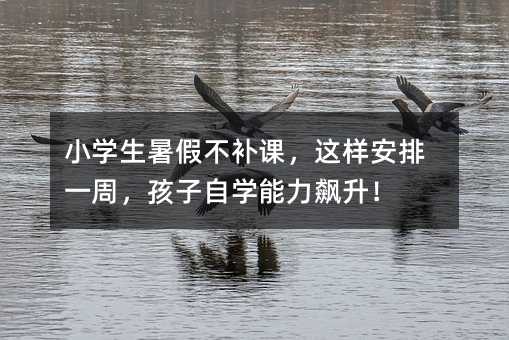 小学生暑假不补课,这样安排一周,孩子自学能力飙升!