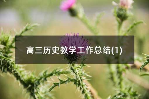 高三历史教学工作总结(1)