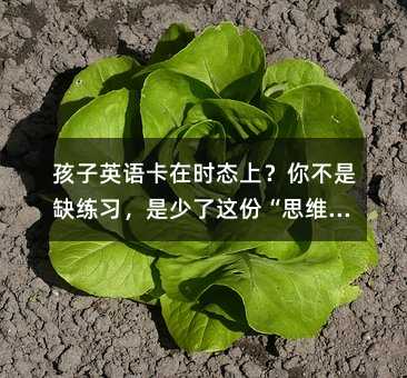 孩子英语卡在时态上?你不是缺练习,是少了这份“思维解码器”