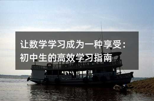 ����ѧѧϰ��Ϊһ�����ܣ��������ĸ�Чѧϰָ��