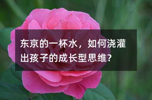 ������һ��ˮ����ν�������ӵĳɳ���˼ά��