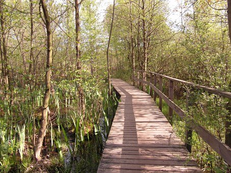 �������С������ѧ�ν�