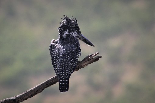 �̺�ǣ��ڿ��õ�������Ѱ�ҹ�