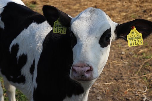 告诉孩子:请记住,你脚下的土地曾满是伤痕
