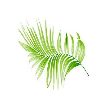 Ӣ���ȴʣ�ʲô�ǡ��ȸ�ը������Google bomb