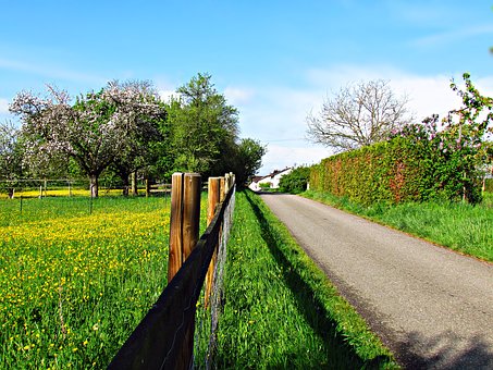 4个幼儿发展关键期影响孩子以后的学习成绩