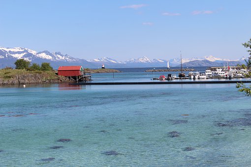 Ӣ������