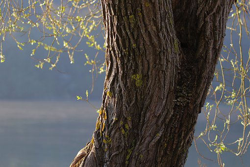 儿童初学钢琴注意事项