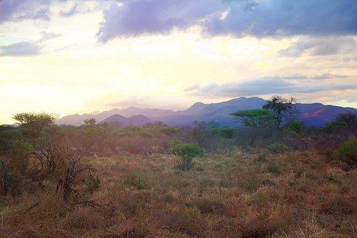 从一双木筷出发:探讨数学建模在家庭场景中的落地