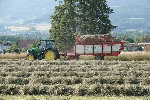 重庆:中小学语文教材古诗词篇目没删减