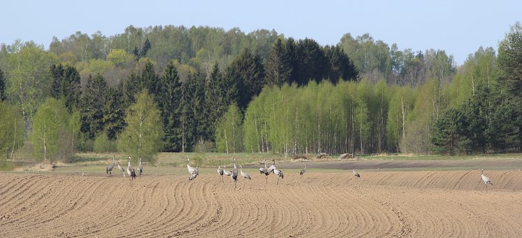 ��������Сѧ��д����Ϊ������ͨƪд���ۡ�