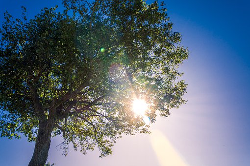 Сѧ���ĳɼ��ֻ������ࣺץ�����ĸ����ڣ��뿼�ͷֶ���